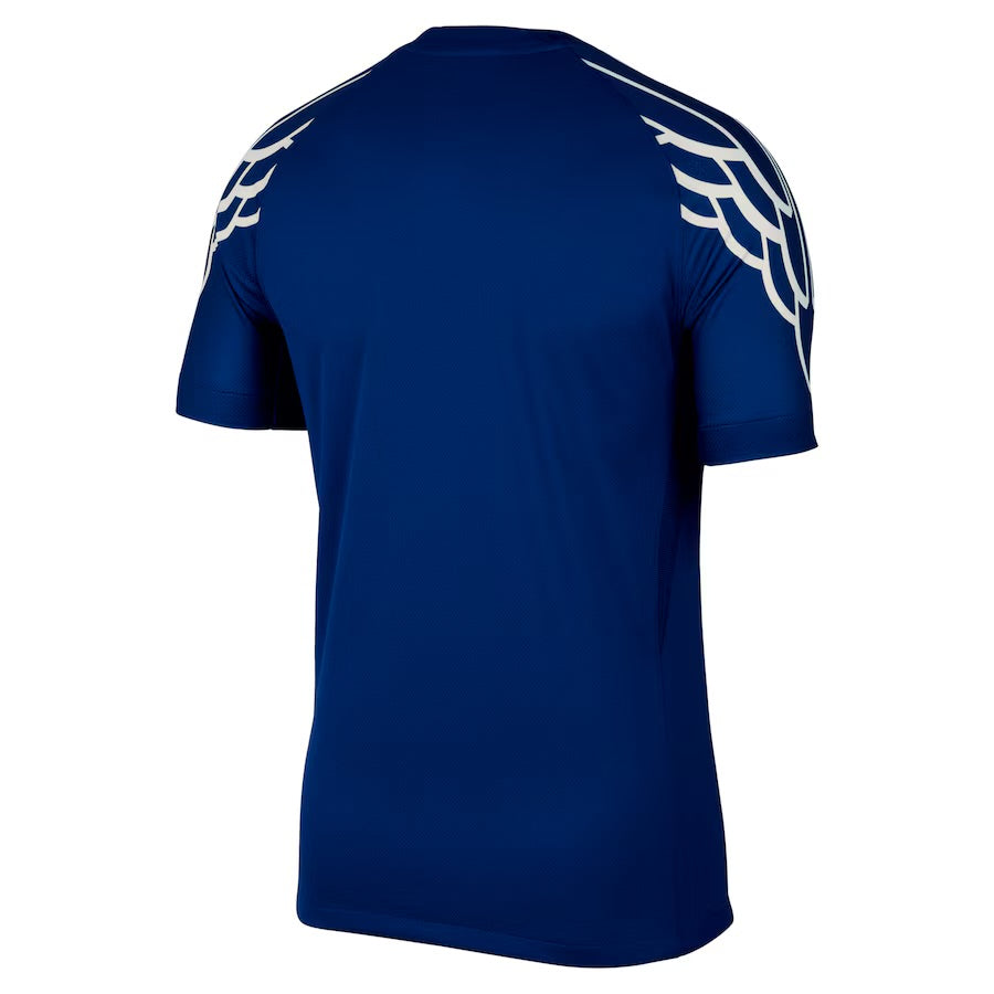 Camiseta PSG Jordan Fourth 24/25