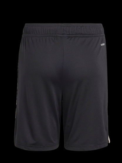 Pantalones Cortos Bayern de Múnich Third 25/26