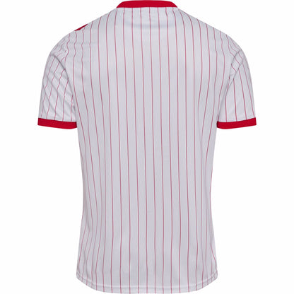 Camiseta Dinamarca Away 26/27