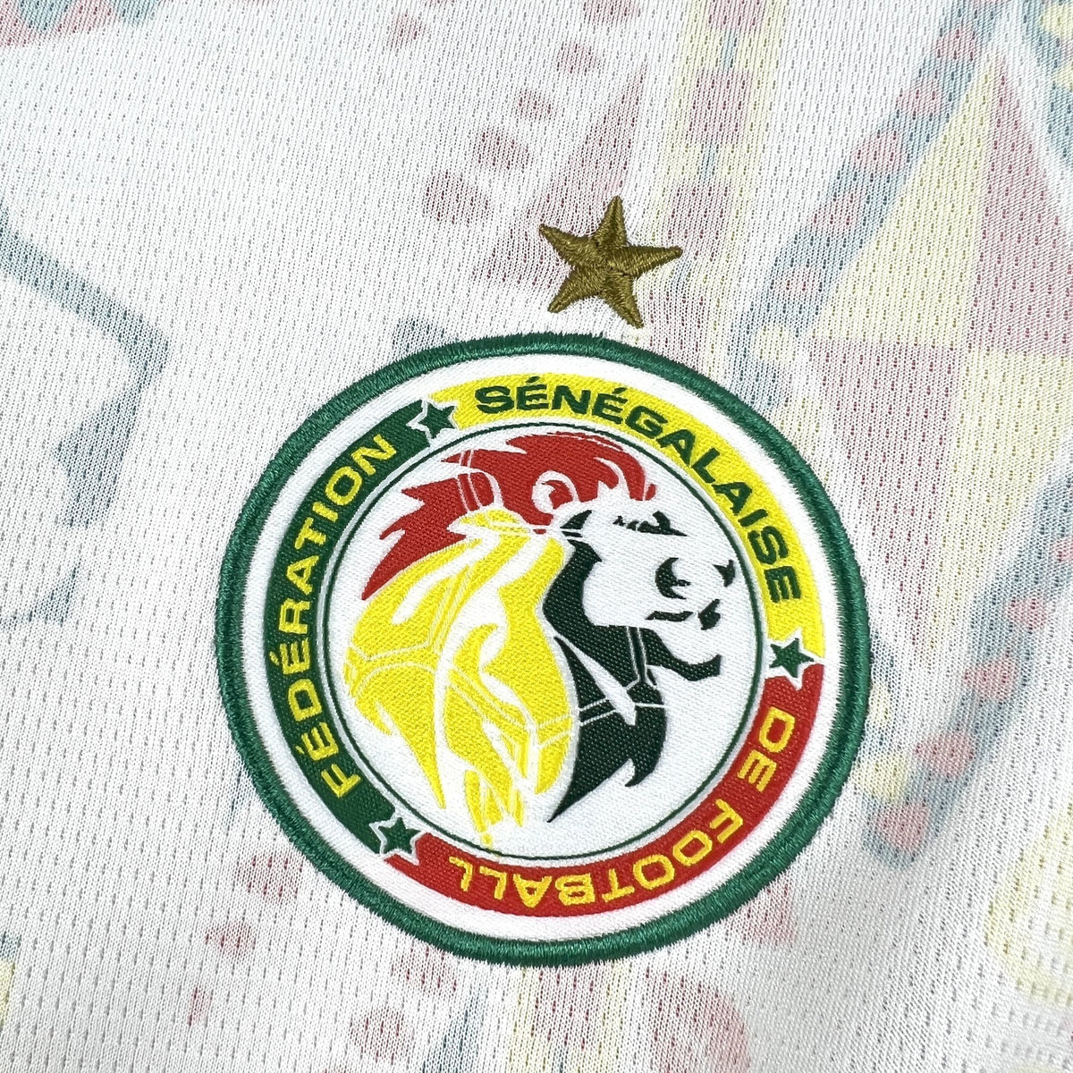 Camiseta Senegal Home 26/27