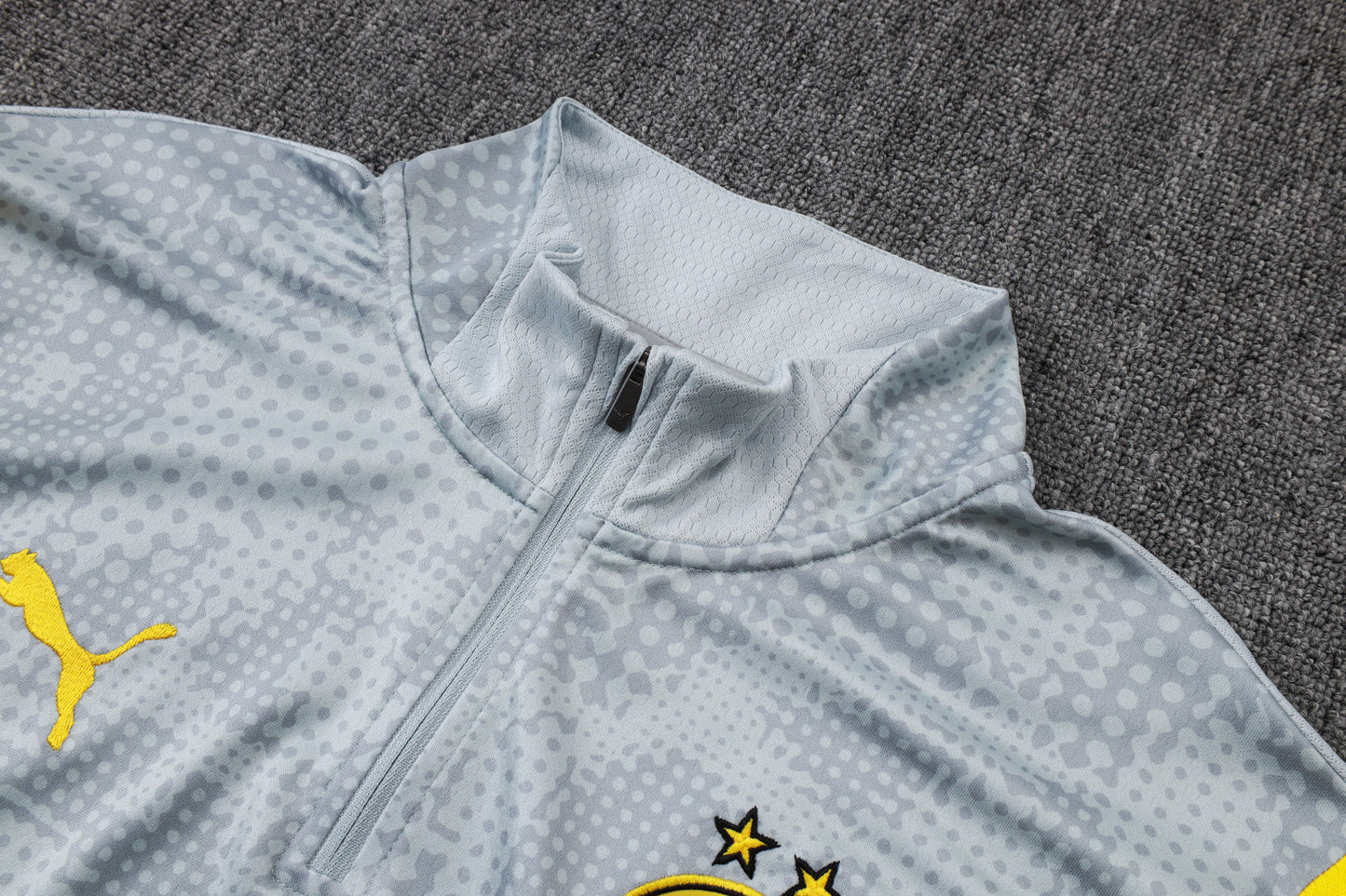 Chandal Borussia Dortmund 25/26