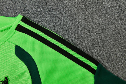 Camiseta y Pantalón entrenamiento México 26/27