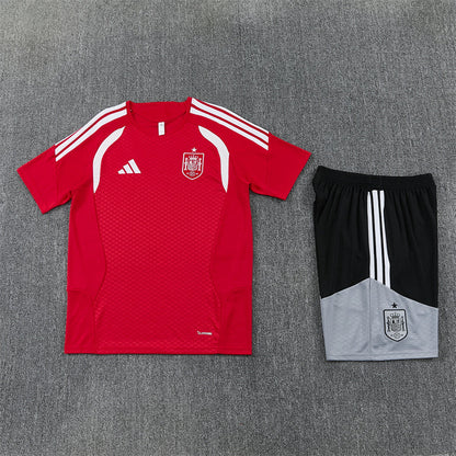 Camiseta y Pantalón corto de Entrenamiento España 26/27
