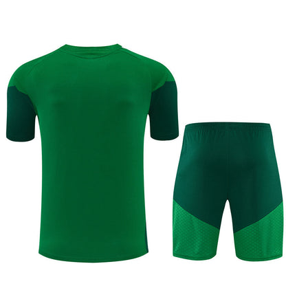 Camiseta y Pantalón corto Entrenamiento Argelia 26/27