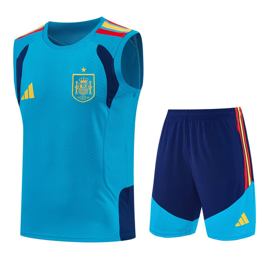 Camiseta y Pantalón corto de Entrenamiento España 26/27