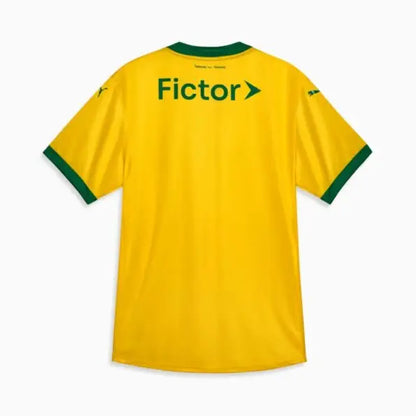 Camiseta Palmeiras Third 25/26