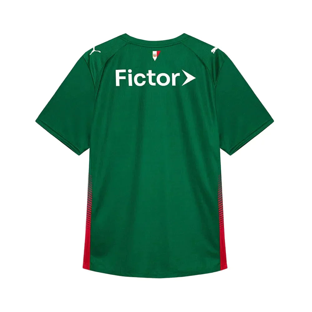 Camiseta Palmeiras Home 26/27