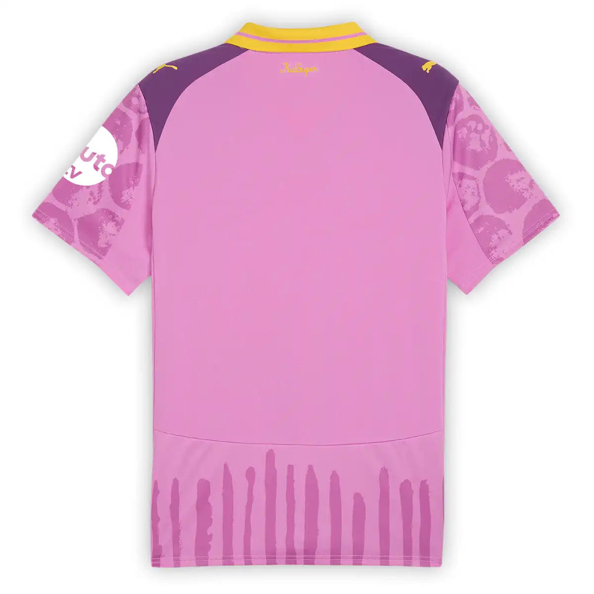 Camiseta y Pantalones Cortos para Niños Borussia Dortmund Portero 25/26