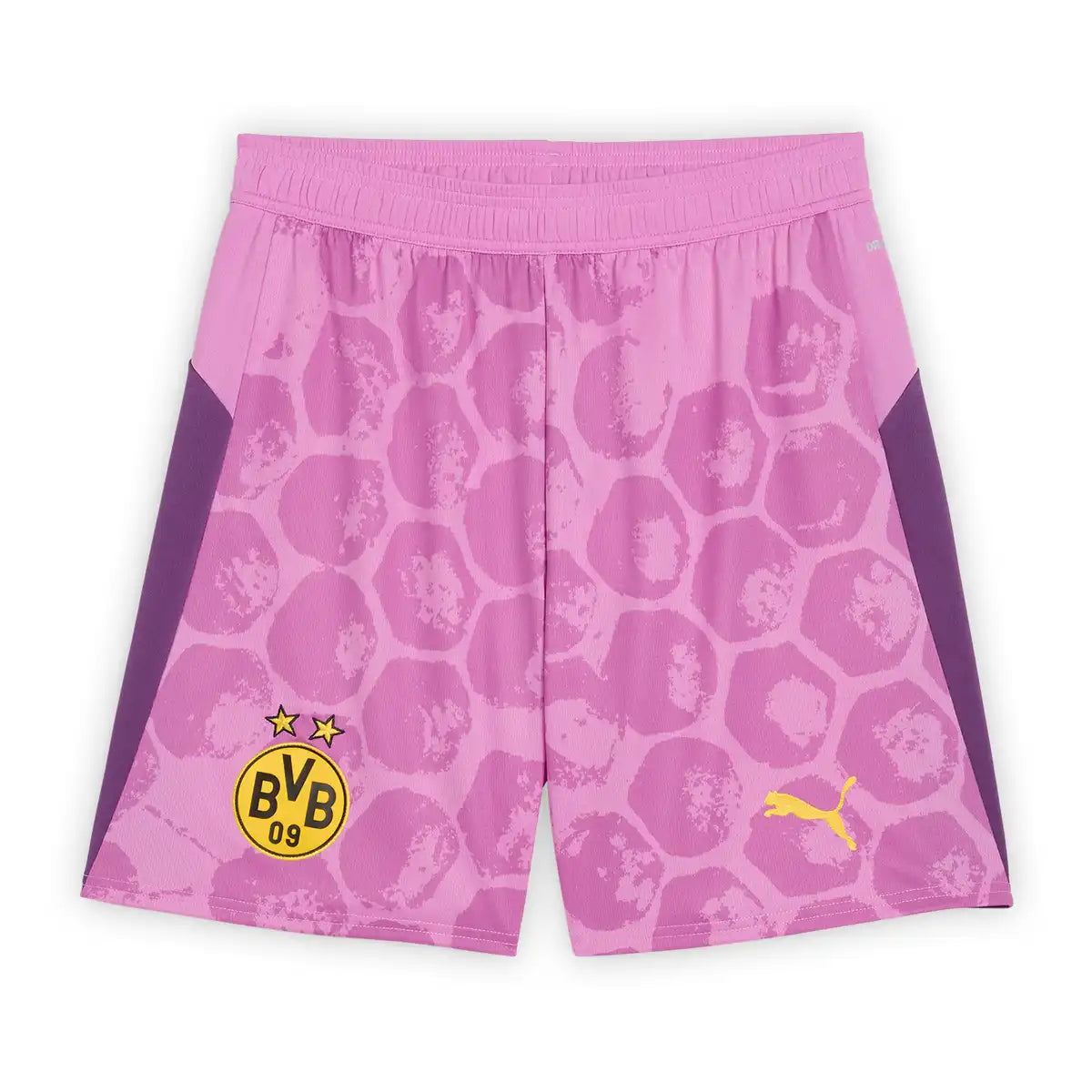 Camiseta y Pantalones Cortos para Niños Borussia Dortmund Portero 25/26
