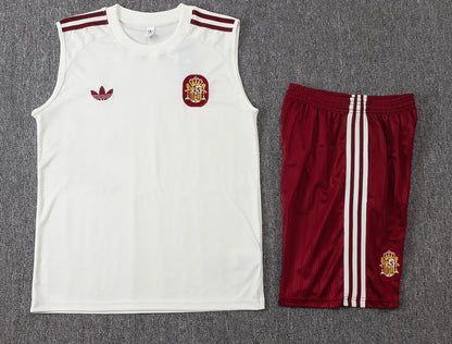 Camiseta y Pantalón corto de Entrenamiento España 26/27