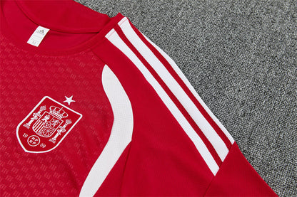Camiseta y Pantalón corto de Entrenamiento España 26/27