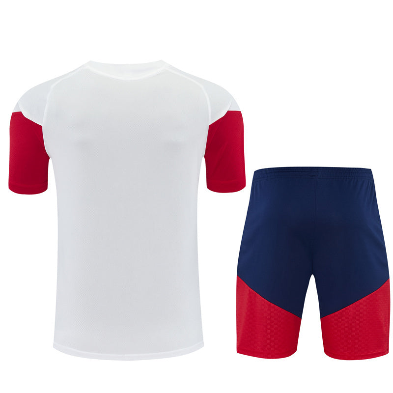 Camiseta y Pantalón corto de Entrenamiento España 26/27