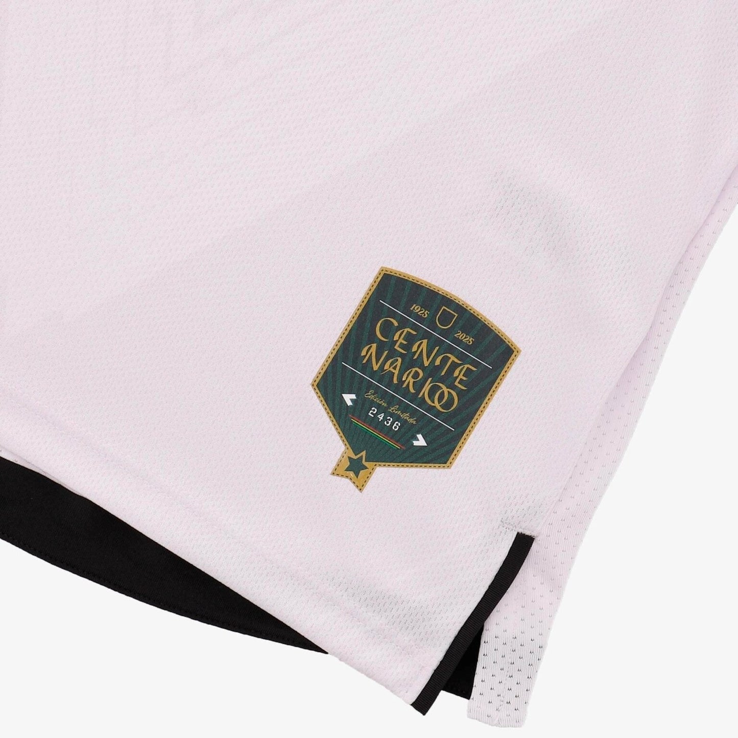 Camiseta selección Bolivia Away Edición especial 100 años