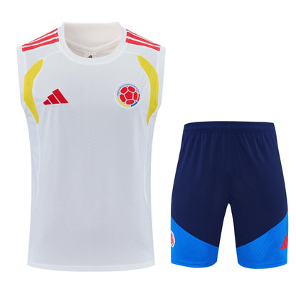 Camiseta y Pantalón corto Entrenamiento Colombia 26/27