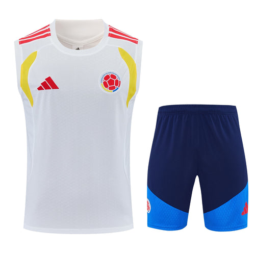 Camiseta y Pantalón corto Entrenamiento Colombia 26/27