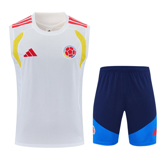 Camiseta y Pantalón corto Entrenamiento Colombia 26/27