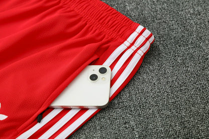 Camiseta y Pantalón entrenamiento Bayern 25/26