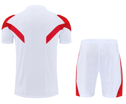 Camiseta y Pantalón entrenamiento Bayern 25/26