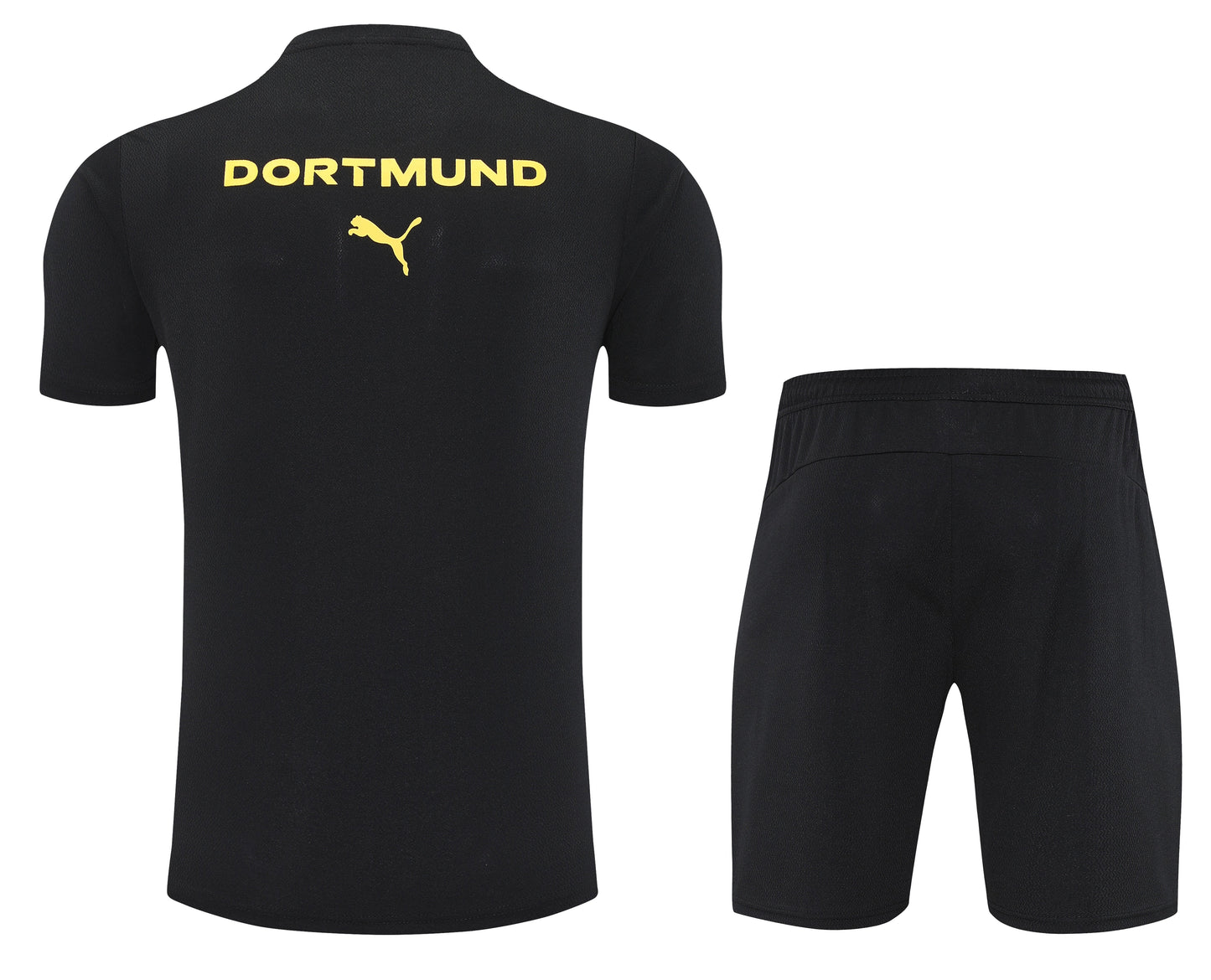 Camiseta y Pantalón entrenamiento Borussia 25/26