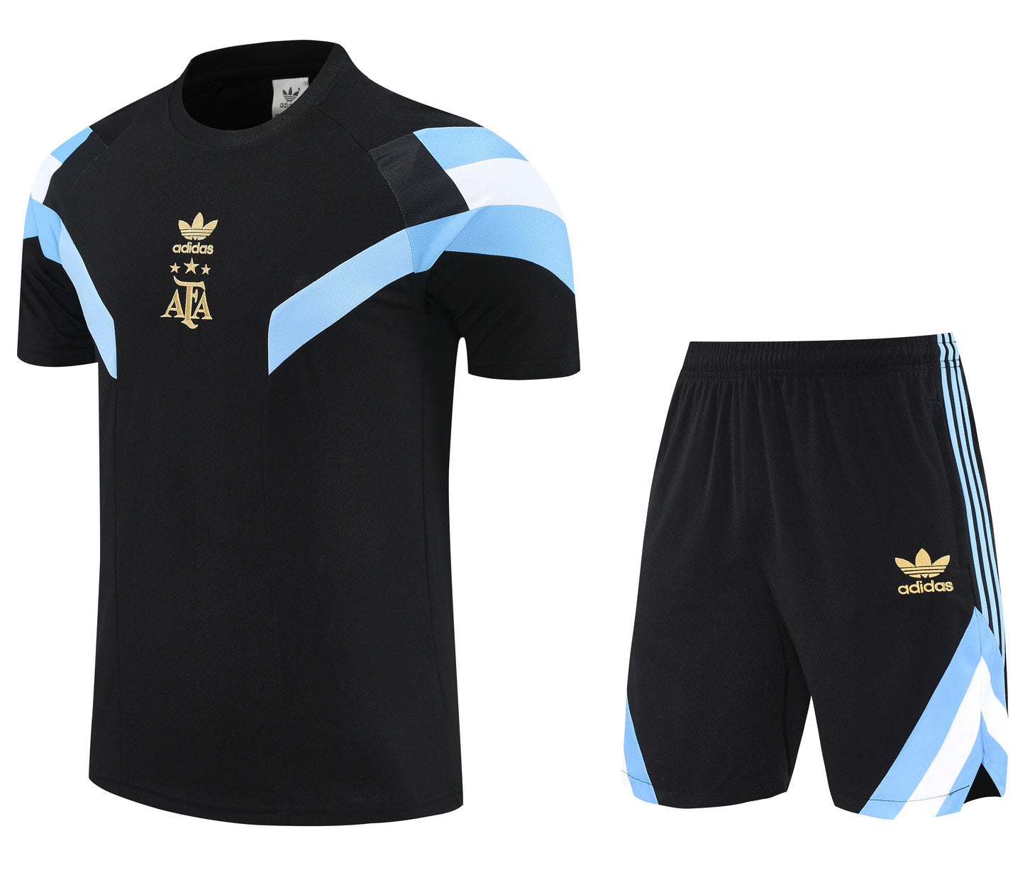 Camiseta y Pantalón entrenamiento Argentina 25/26