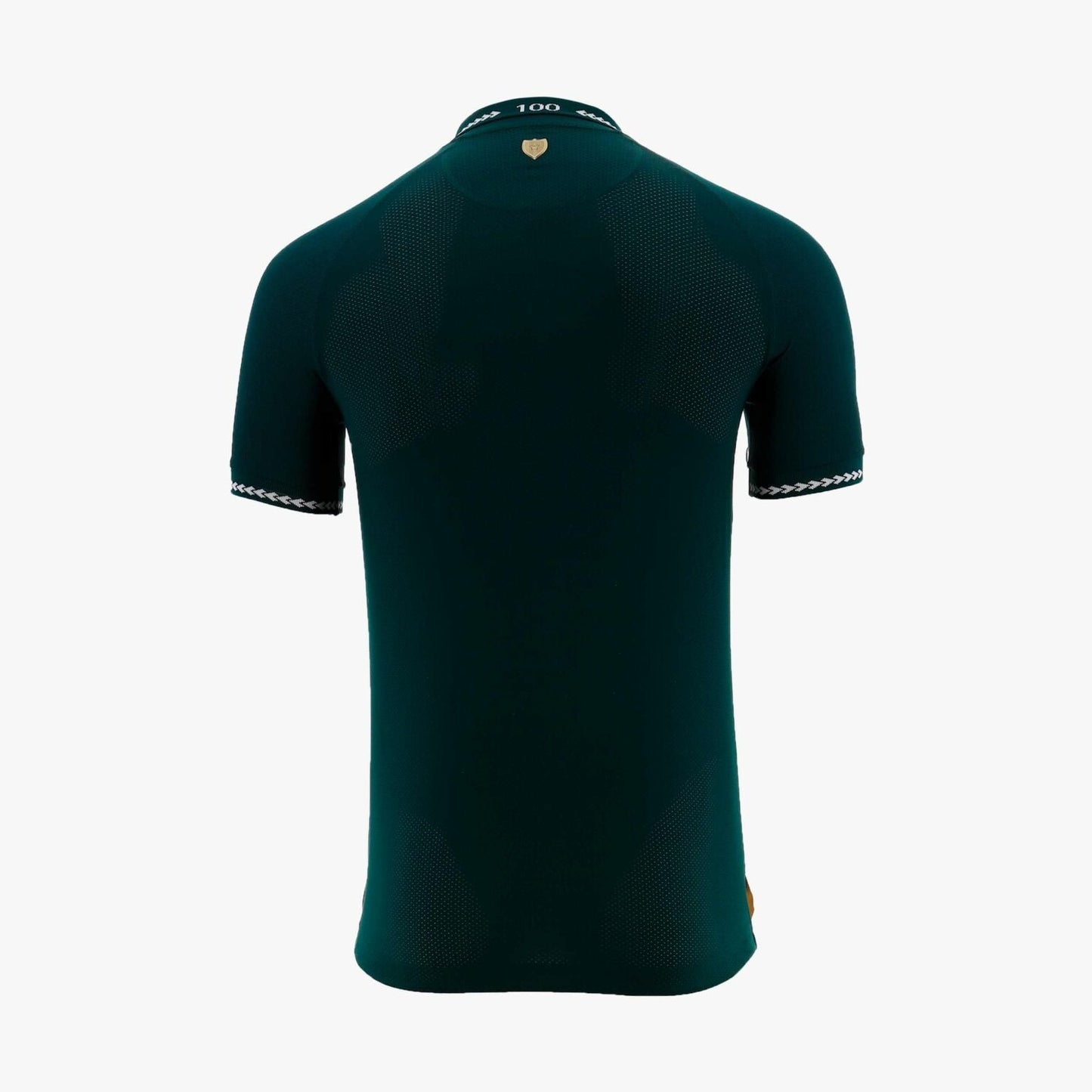 Camiseta selección Bolivia Home Edición especial 100 años
