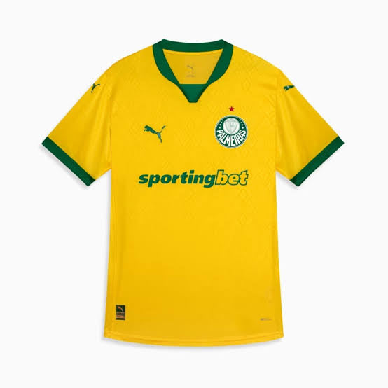 Camiseta Palmeiras Third 25/26