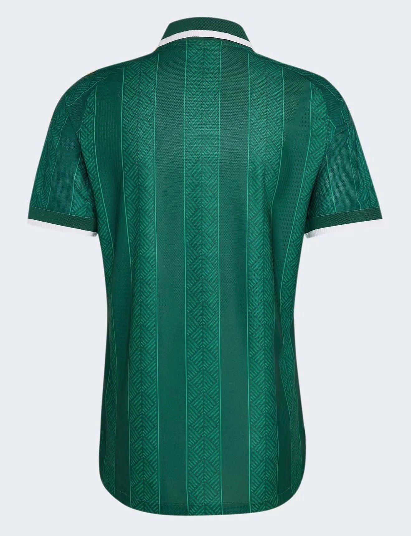 Camiseta Selección South Africa Away 26/27
