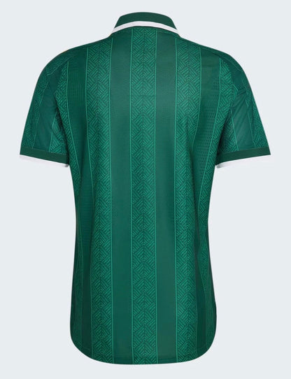 Camiseta Selección South Africa Away 26/27