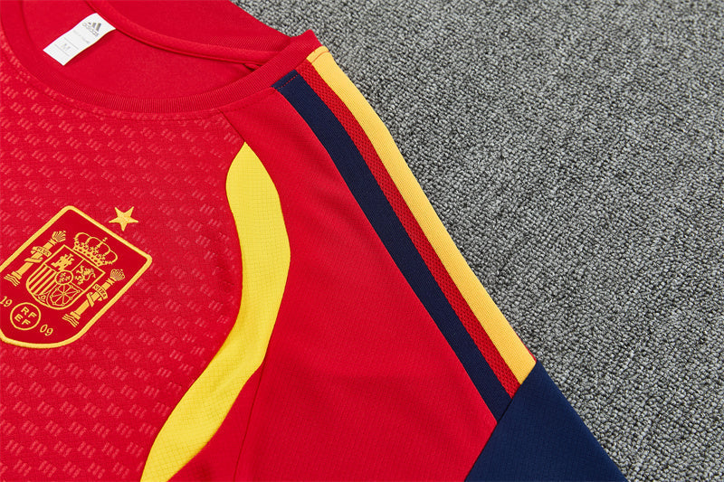 Camiseta y Pantalón corto de Entrenamiento España 26/27
